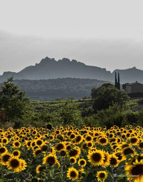 Chambres d'Hôtes Aux Tournesols Malaucène Exterior foto